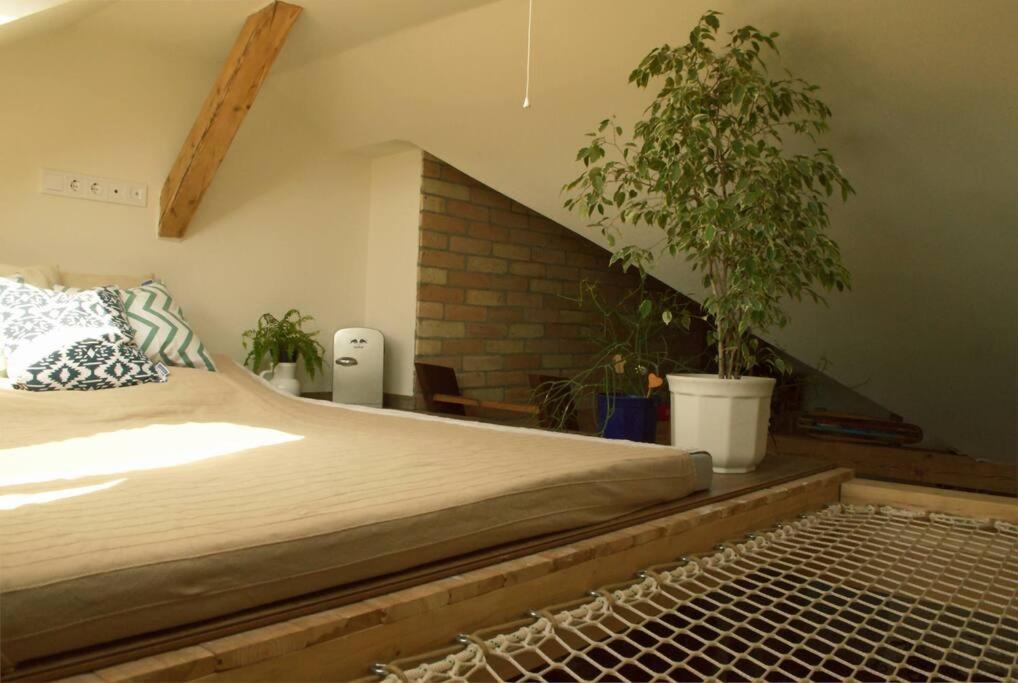 Treehouse Apartment Szegedin Exterior foto